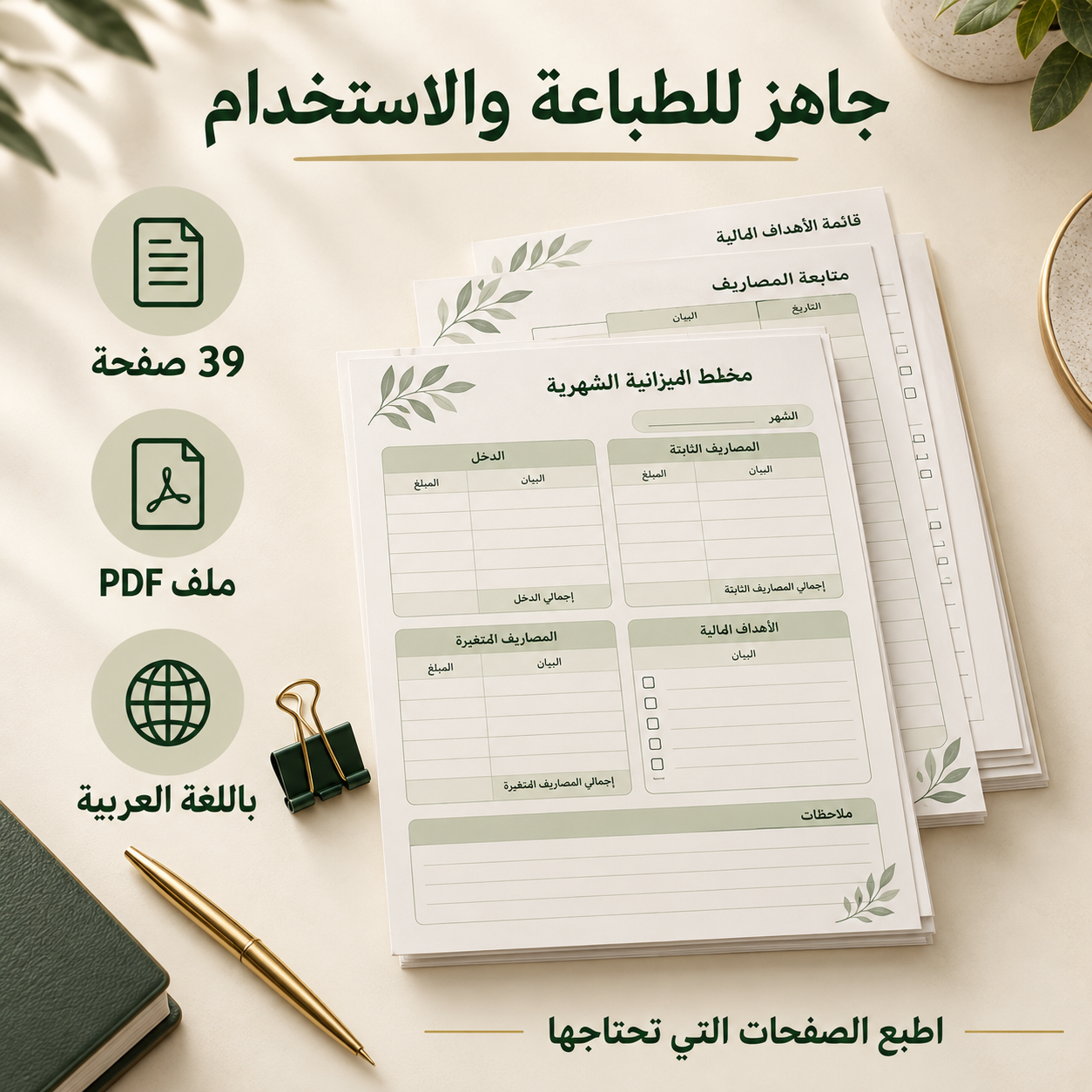 مخطط الميزانية