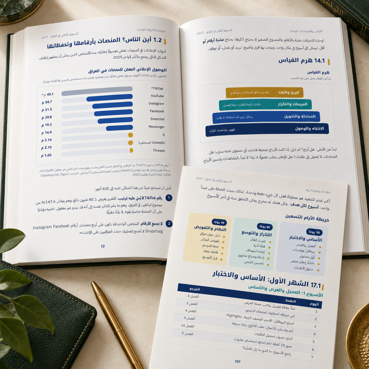 التسويق الرقمي في العراق